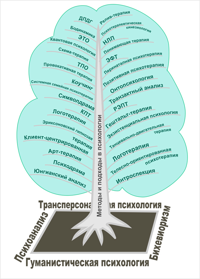 Фото "Дерево Психологии"