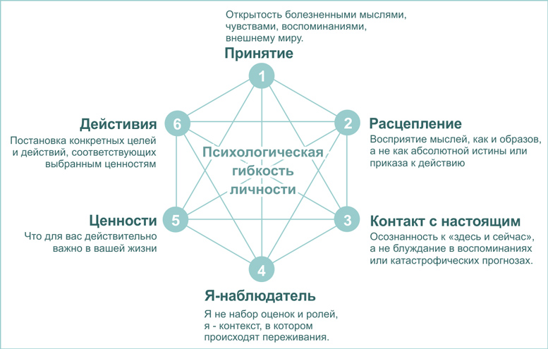 Фото "Гексафлекс" ТПО